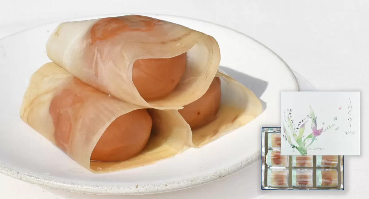 「喜びをくるむ梅」うめくるり リニューアルして新登場！